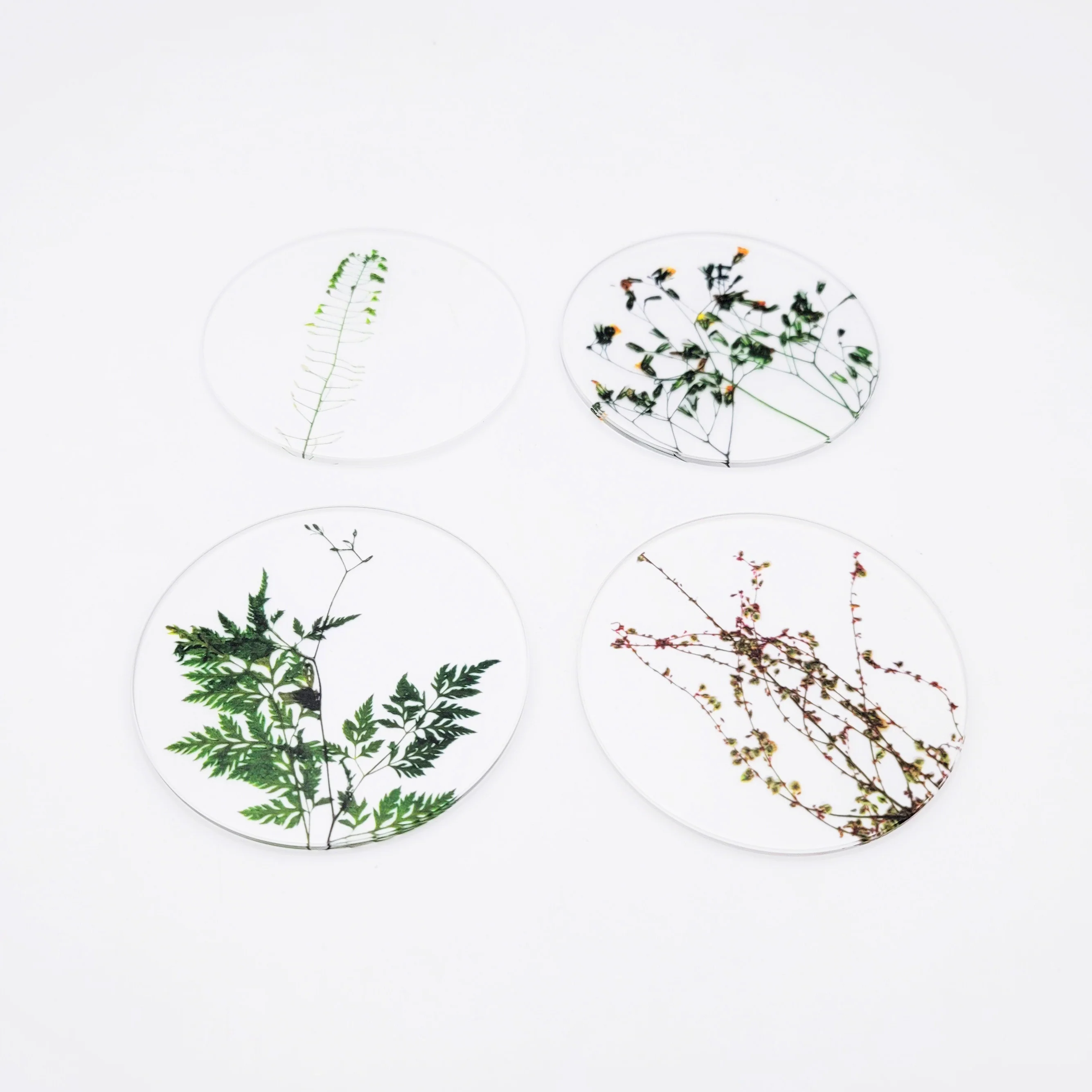 Oshibana Coaster 4-set - Image 3
