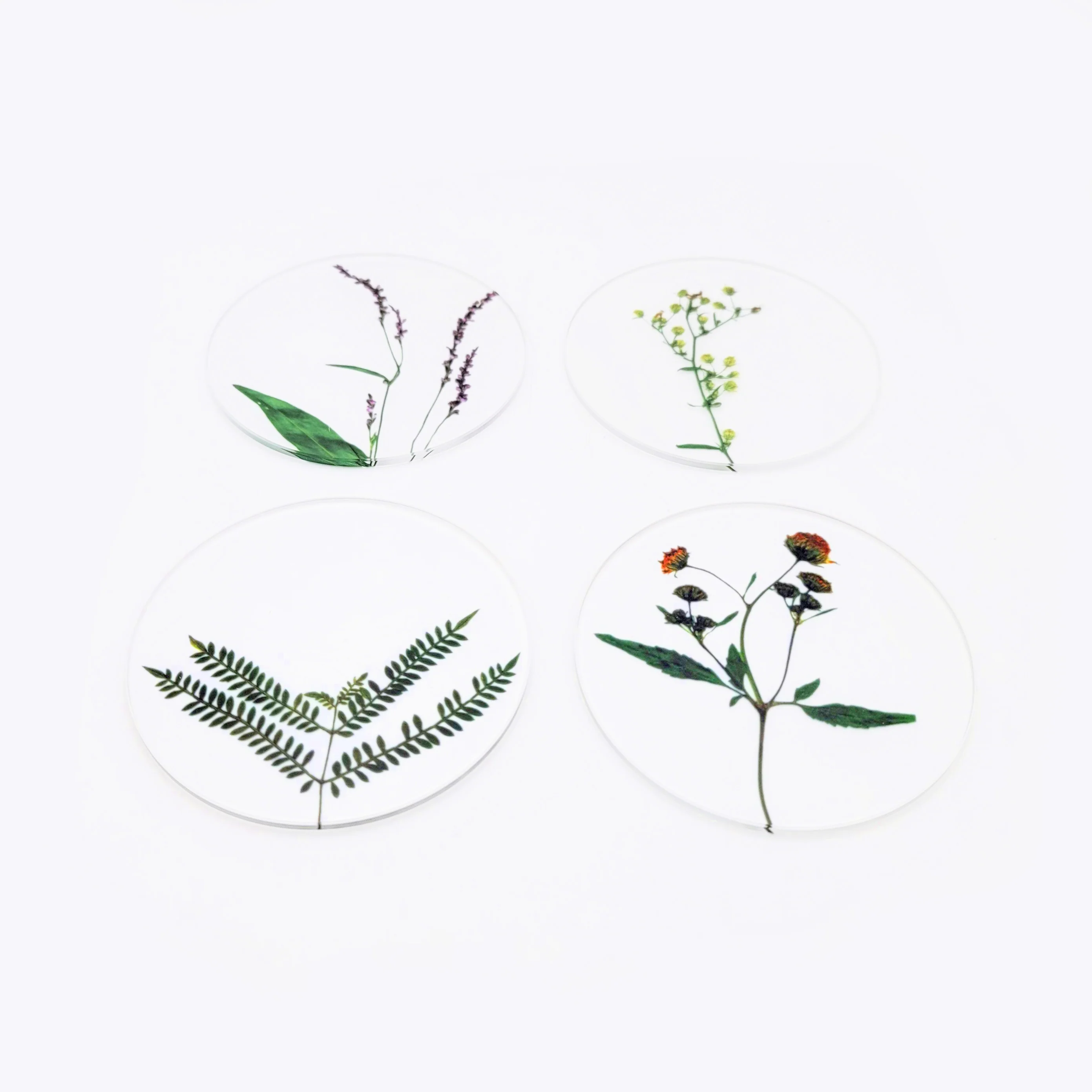 Oshibana Coaster 4-set - Image 4