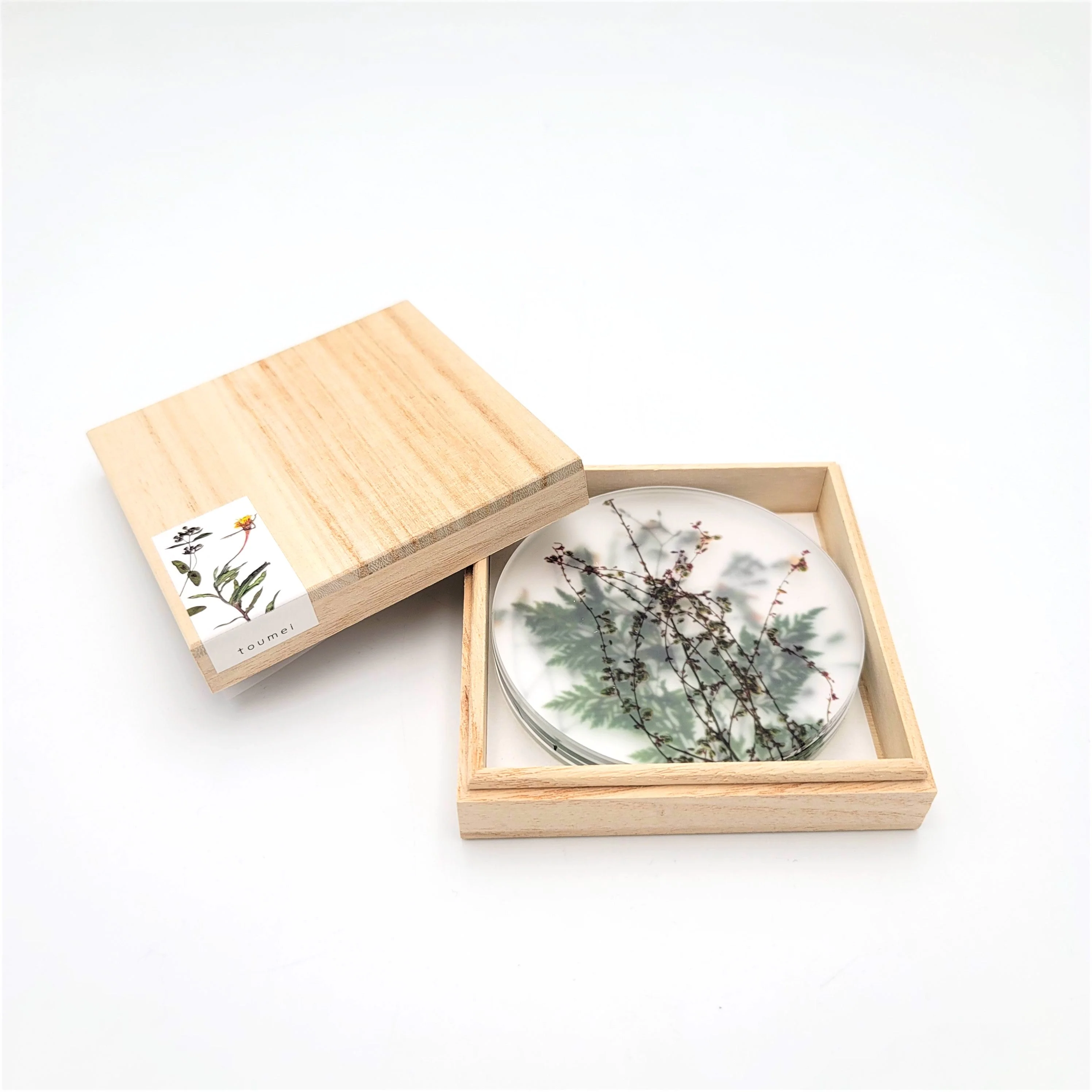 Oshibana Coaster 4-set - Image 5