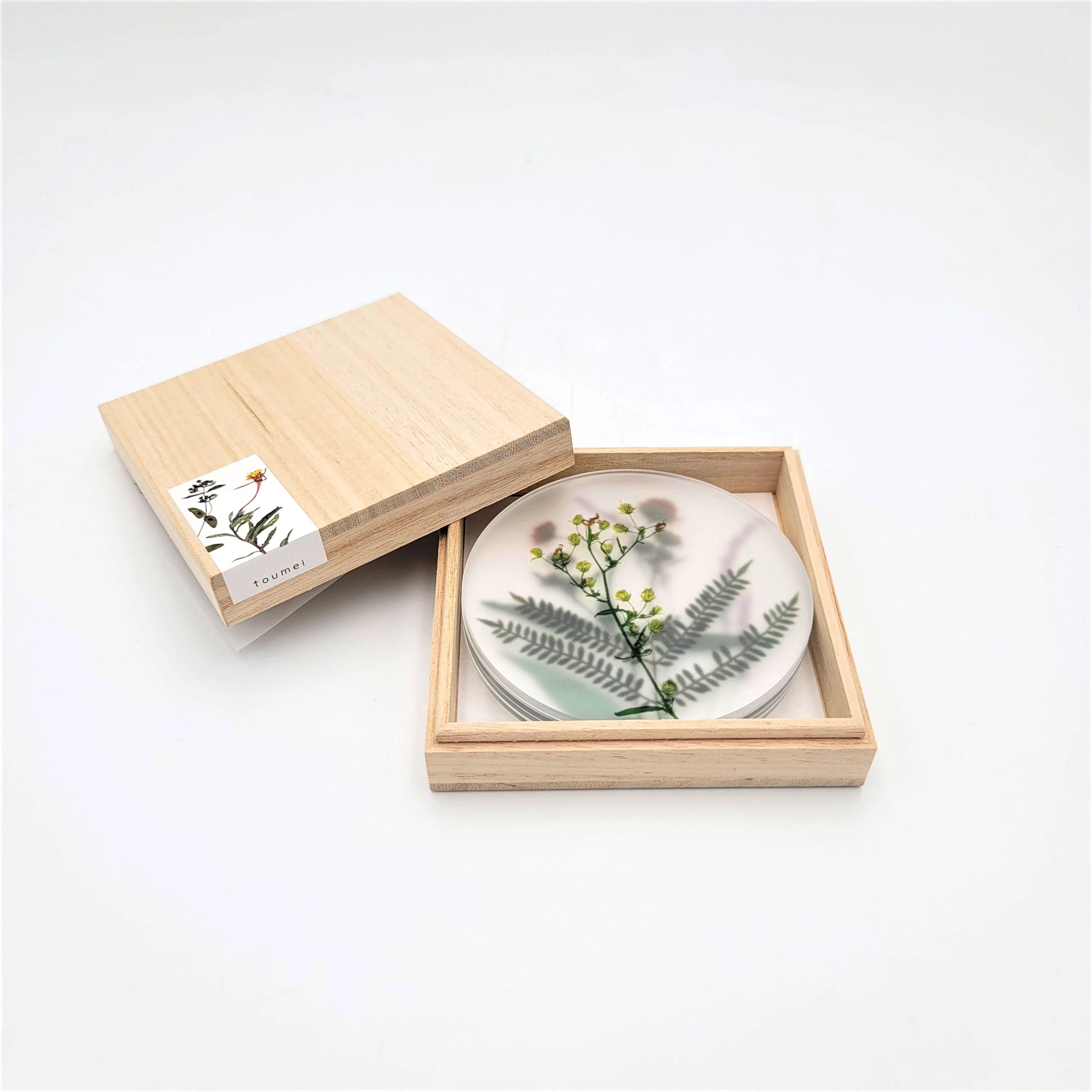 Oshibana Coaster 4-set - Image 6