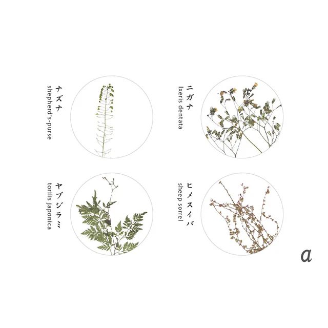 Oshibana Coaster 4-set - Image 8
