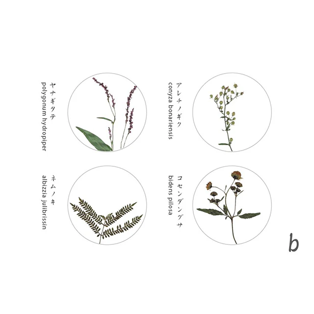Oshibana Coaster 4-set - Image 9