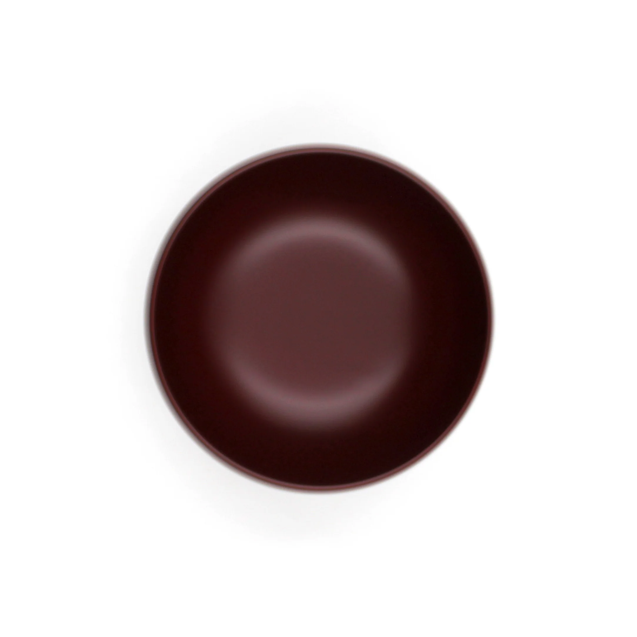 Globe Soup Donburi Bowl - Image 12