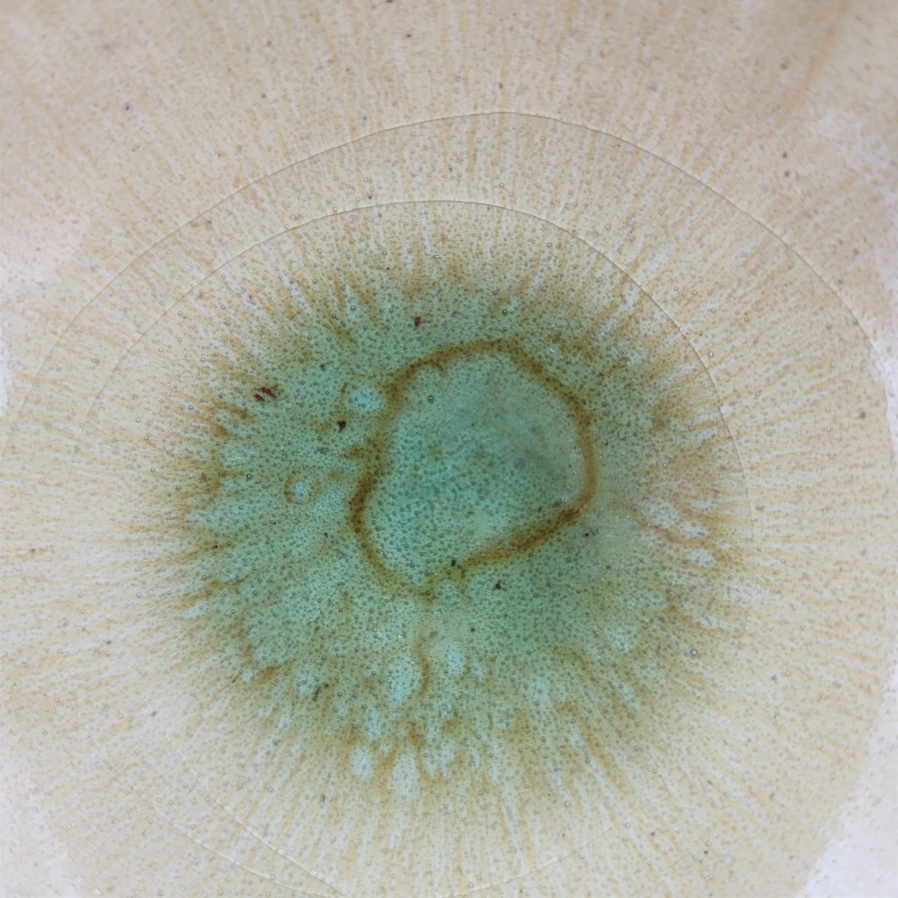 Hai-Yu Nagomi Donburi Bowl - Image 4