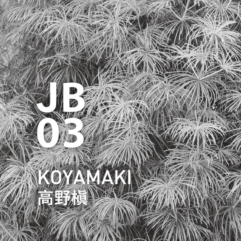 Japanese Essential Oils - Image 8