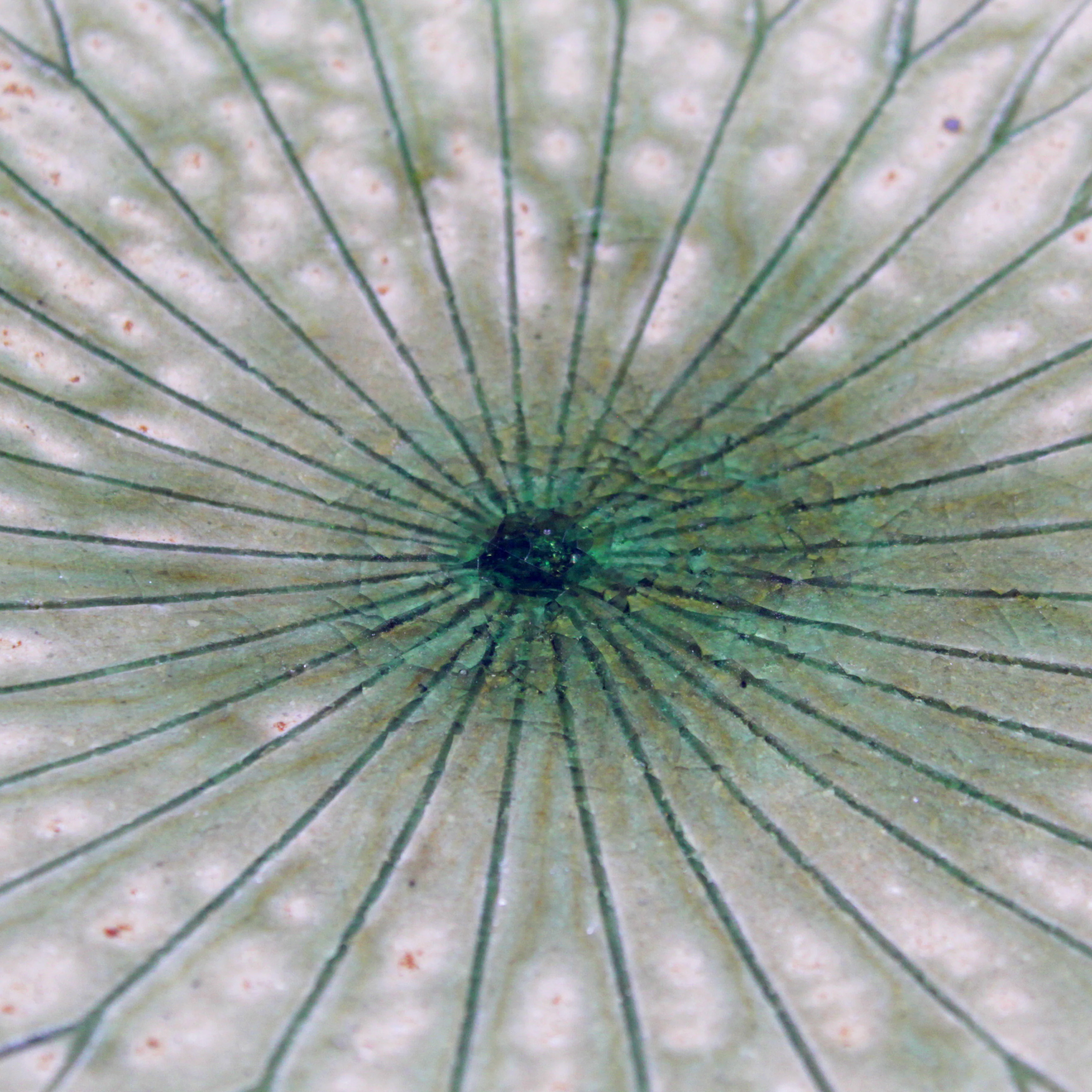 Hechimon Lotus Leaf Large Plate - Image 5