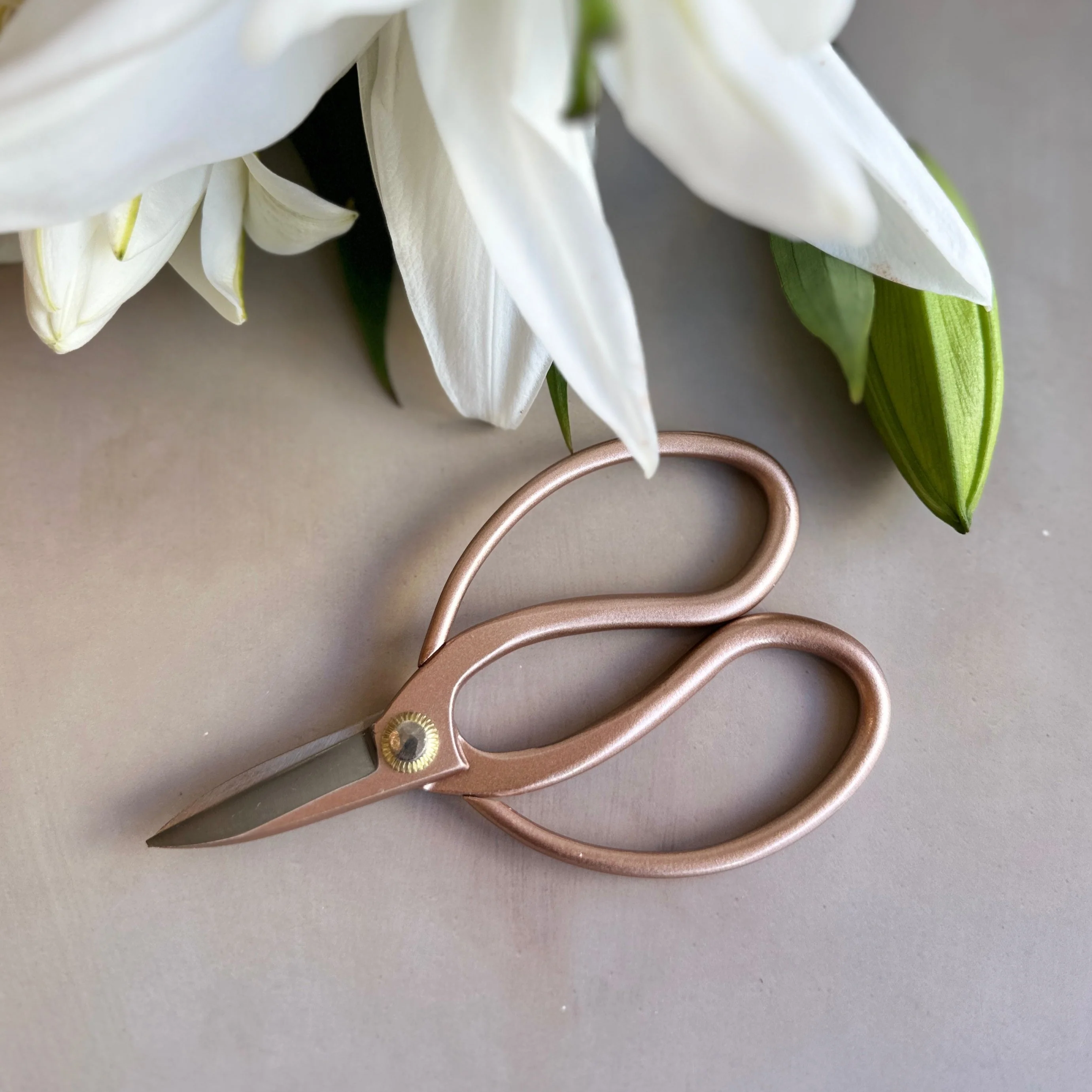 Mini Ikebana Shears (Rose Gold) - Image 7