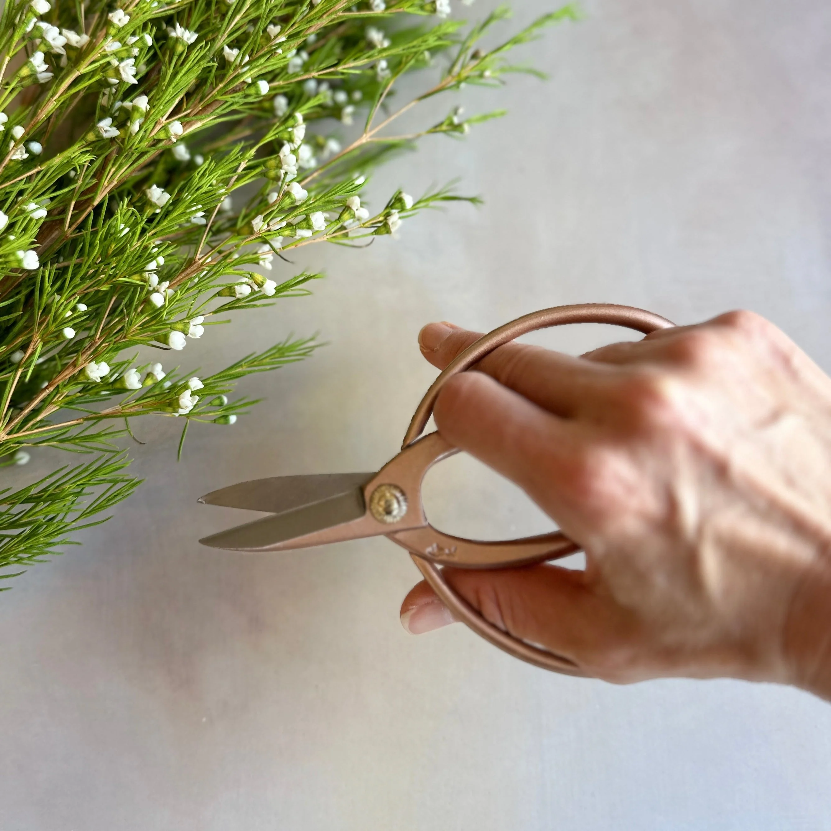 Mini Ikebana Shears (Rose Gold) - Image 8